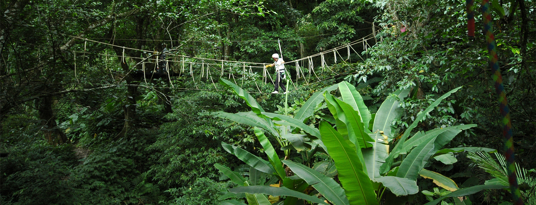 圖片來源:野猴子探險森林官網